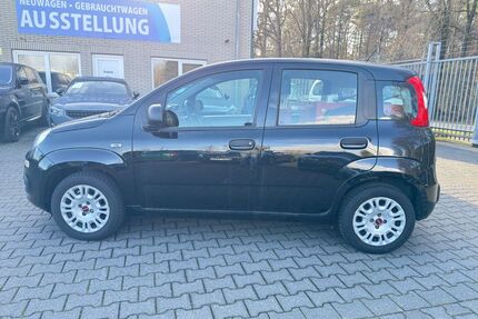 Fiat Panda Gebrauchtwagen