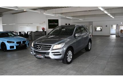 Mercedes-Benz ML 250 Gebrauchtwagen