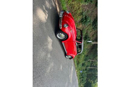 VW Andere Gebrauchtwagen