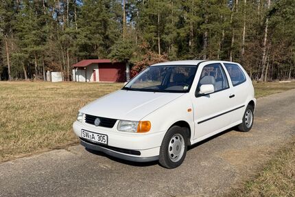 VW Polo Gebrauchtwagen