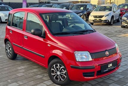 Fiat Panda Gebrauchtwagen