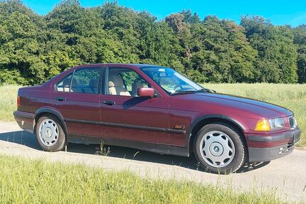 BMW 316 Gebrauchtwagen