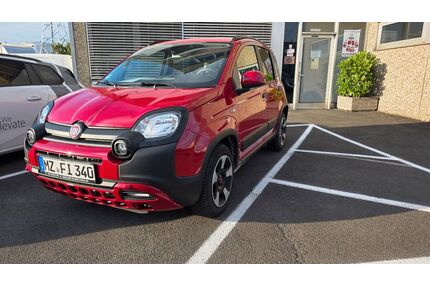 Fiat Panda Gebrauchtwagen