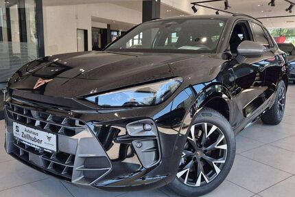 Cupra Terramar Gebrauchtwagen
