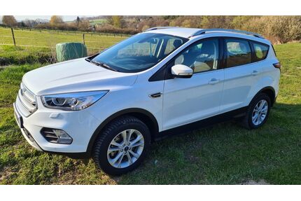 Ford Kuga Gebrauchtwagen