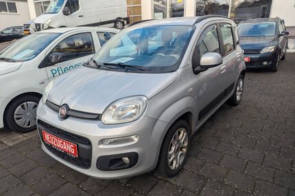Fiat Panda Gebrauchtwagen