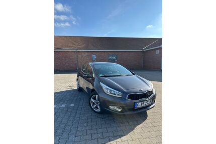 Kia ceed / Ceed Gebrauchtwagen