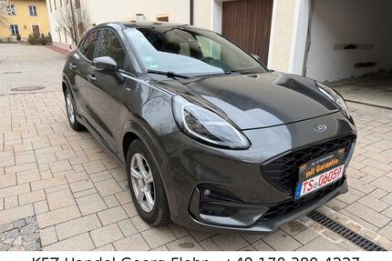 Ford Puma Gebrauchtwagen