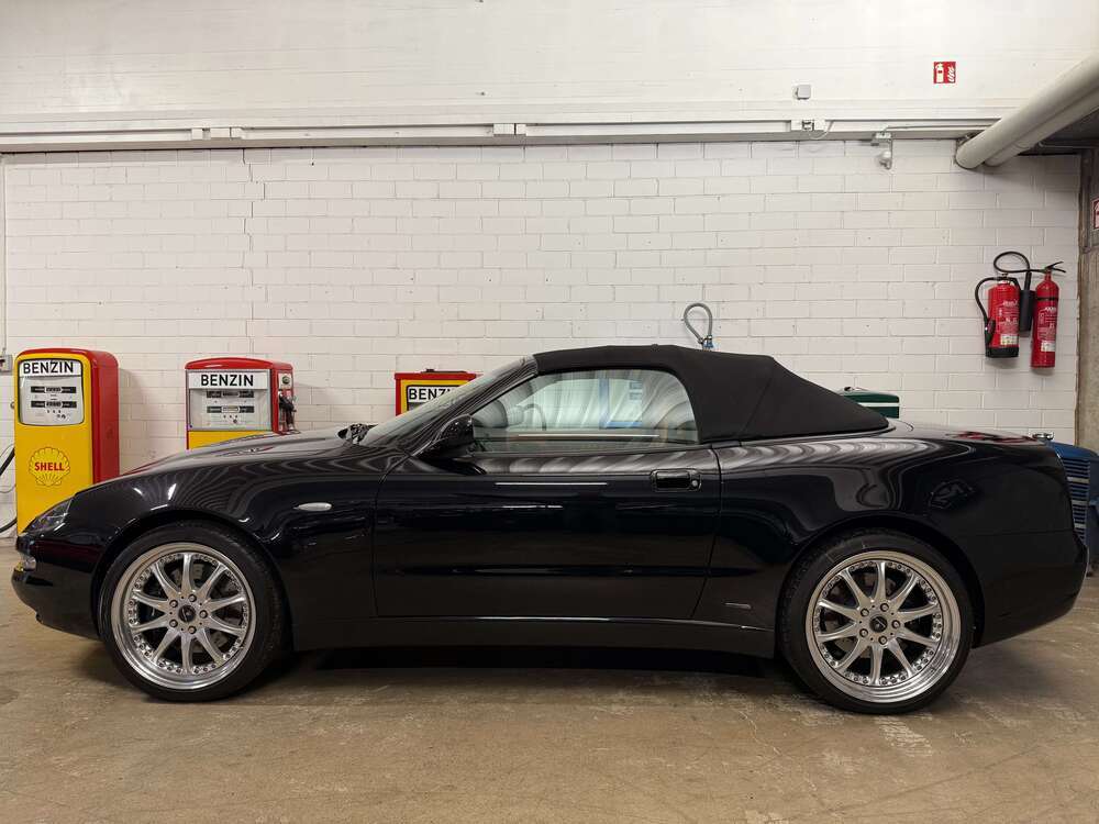 Spyder