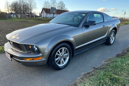 Ford Mustang Gebrauchtwagen