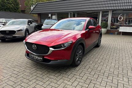 Mazda CX-30 Gebrauchtwagen