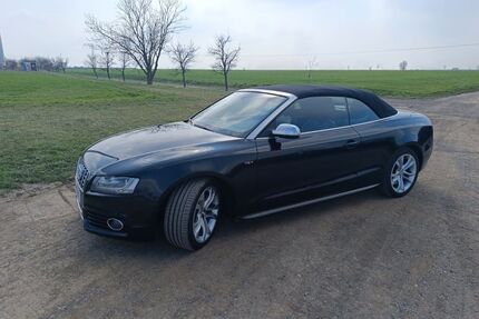 Audi S5 Gebrauchtwagen