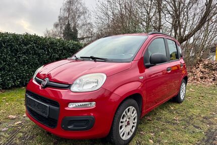 Fiat Panda Gebrauchtwagen
