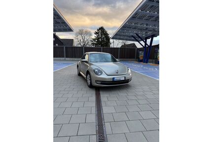 VW Beetle Gebrauchtwagen
