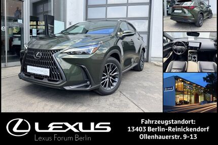 Lexus NX 450h Gebrauchtwagen