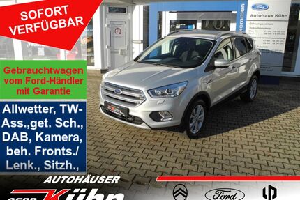 Ford Kuga Gebrauchtwagen