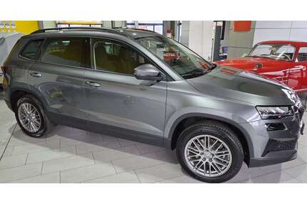 Skoda Karoq Gebrauchtwagen