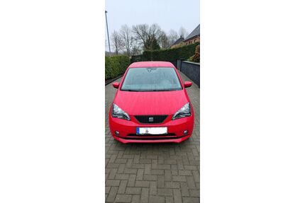 Seat Mii Gebrauchtwagen