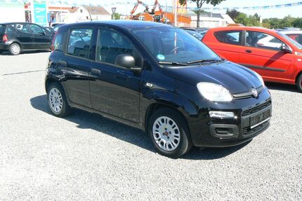 Fiat Panda Gebrauchtwagen