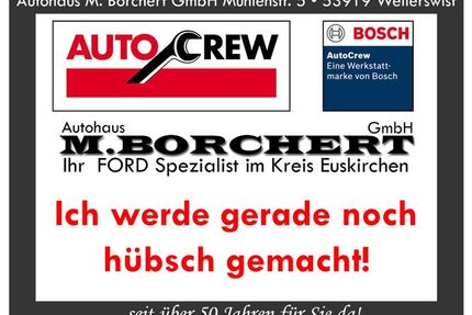 Ford Tourneo Custom Gebrauchtwagen