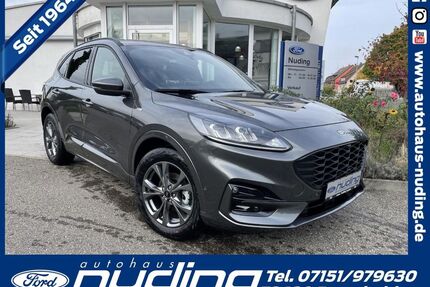 Ford Kuga Gebrauchtwagen