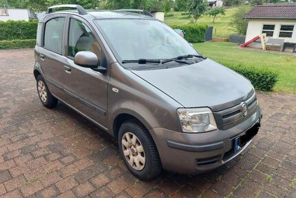 Fiat Panda Gebrauchtwagen
