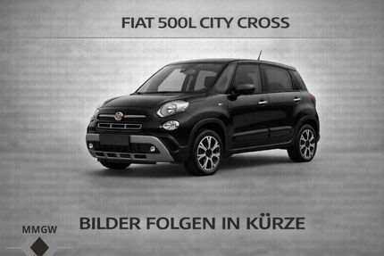 Fiat 500L Gebrauchtwagen