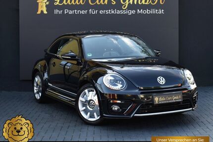 VW Beetle Gebrauchtwagen