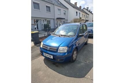 Fiat Panda Gebrauchtwagen