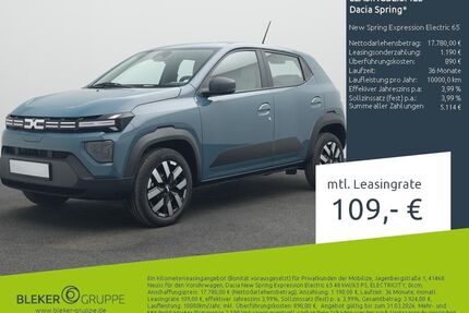 Dacia Spring Gebrauchtwagen