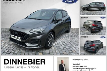 Ford Fiesta Gebrauchtwagen