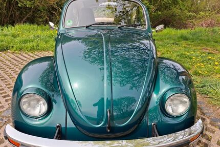 VW Käfer Gebrauchtwagen