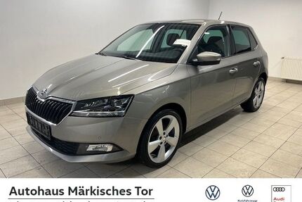 Skoda Fabia Gebrauchtwagen