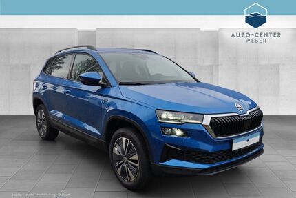 Skoda Karoq Gebrauchtwagen
