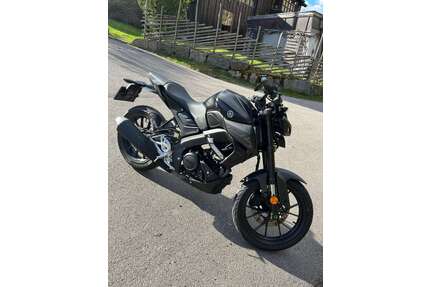 Yamaha MT-125 Gebrauchtwagen
