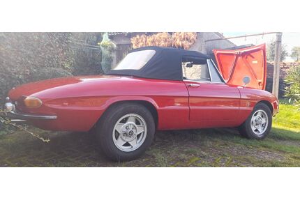 Alfa Romeo Spider Gebrauchtwagen
