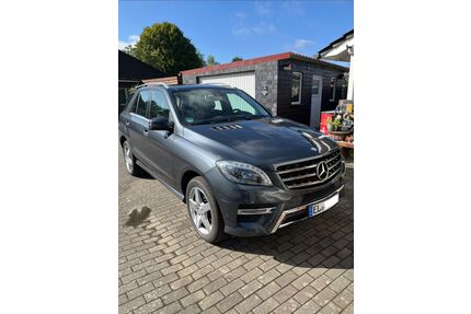 Mercedes-Benz ML 250 Gebrauchtwagen