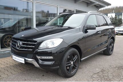 Mercedes-Benz ML 250 Gebrauchtwagen