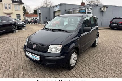 Fiat Panda Gebrauchtwagen