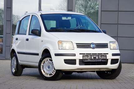 Fiat Panda Gebrauchtwagen