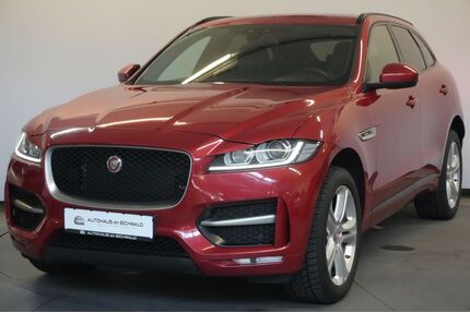 Jaguar F-Pace Gebrauchtwagen