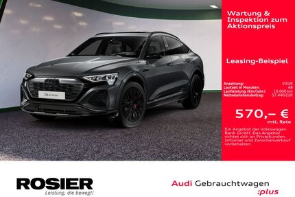 Audi Q8 e-tron Gebrauchtwagen