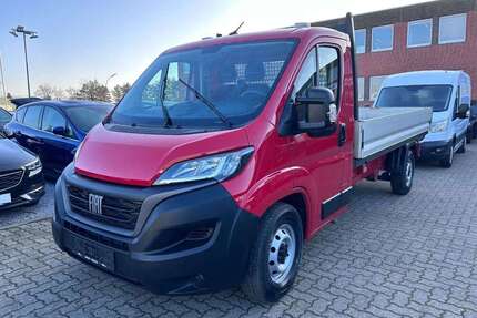 Fiat Maxi Gebrauchtwagen