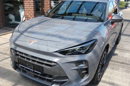 Cupra Terramar Gebrauchtwagen