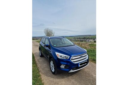 Ford Kuga Gebrauchtwagen
