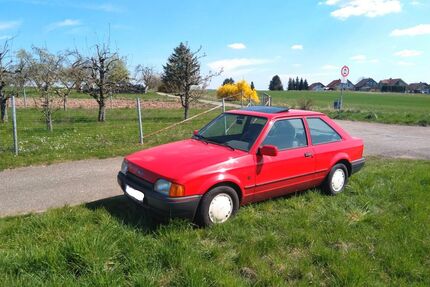 Ford Escort Gebrauchtwagen