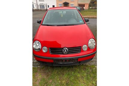 VW Polo Gebrauchtwagen