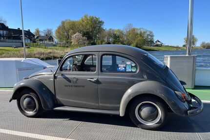 VW Käfer Gebrauchtwagen