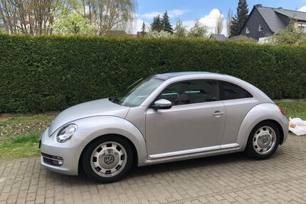 VW Beetle Gebrauchtwagen
