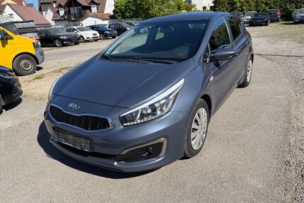 Kia ceed / Ceed Gebrauchtwagen